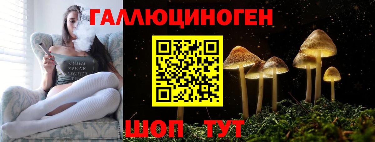 Галлюциногенные грибы прущие грибы Каменск-Уральский